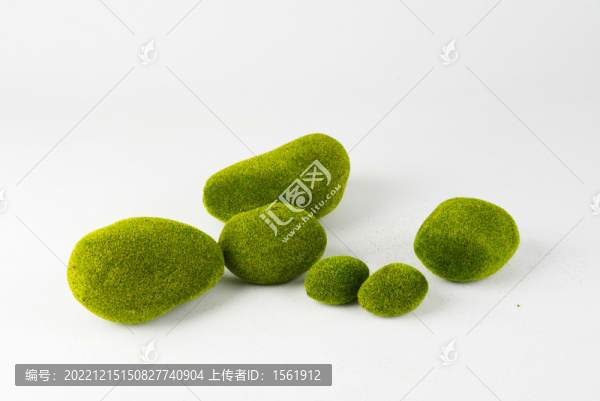 苔蘚石頭