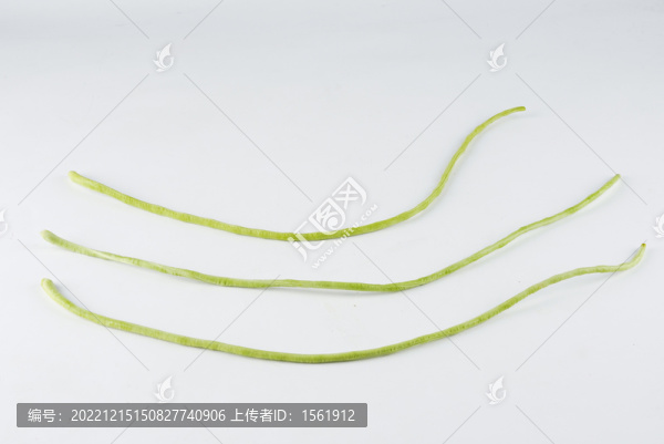 長豆角豇豆