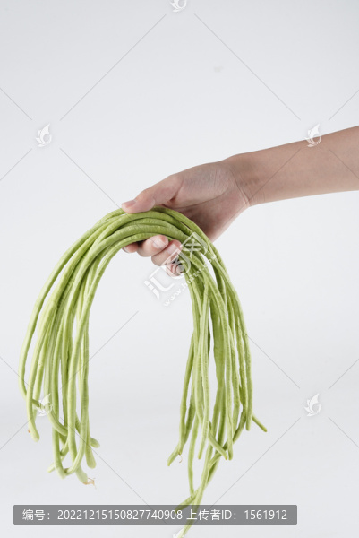 長豆角豇豆
