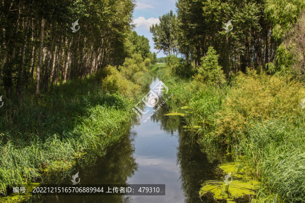 水渠