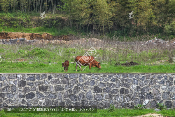 績溪仁里村