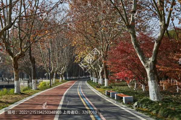 安徽省蕪湖市雕塑公園路
