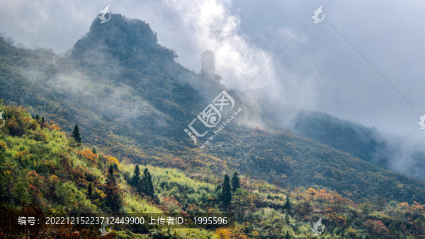 半山彩林半山雪