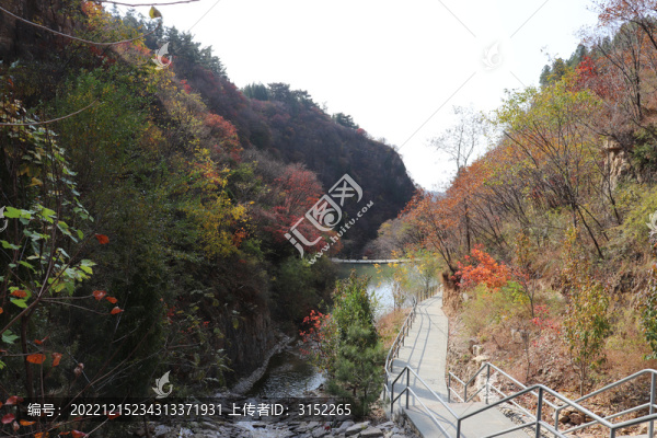 紅葉谷溪流