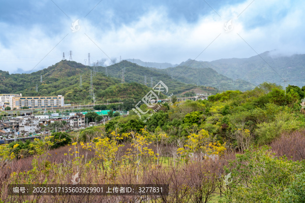 牛崗山公園