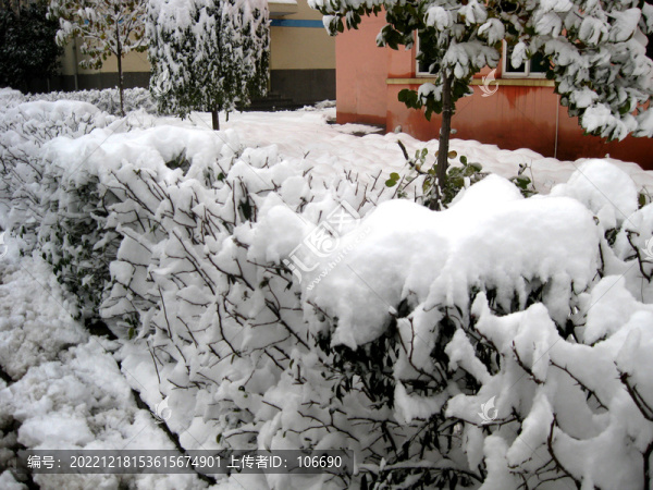 積雪