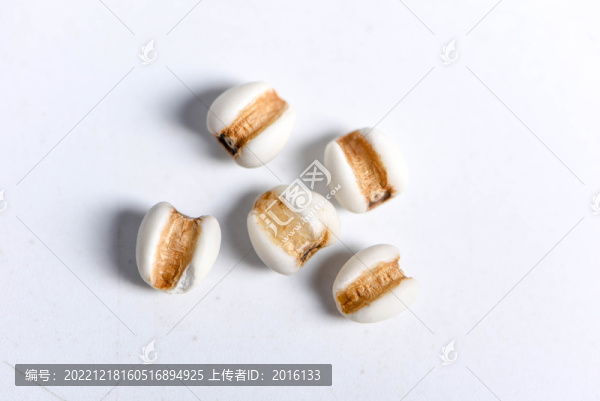 薏米