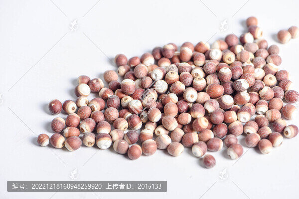 芡實(shí)