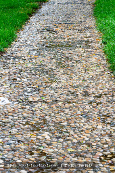 雨中小路