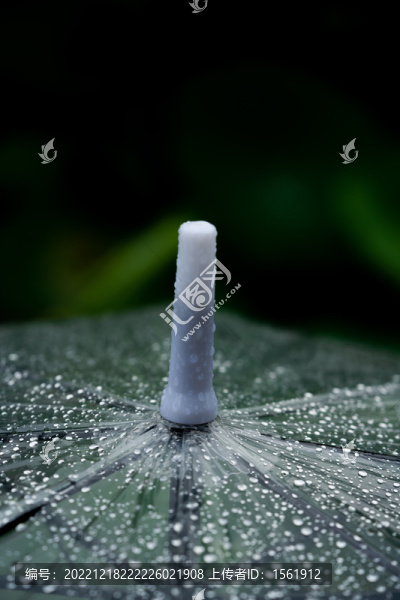 雨傘雨天下雨