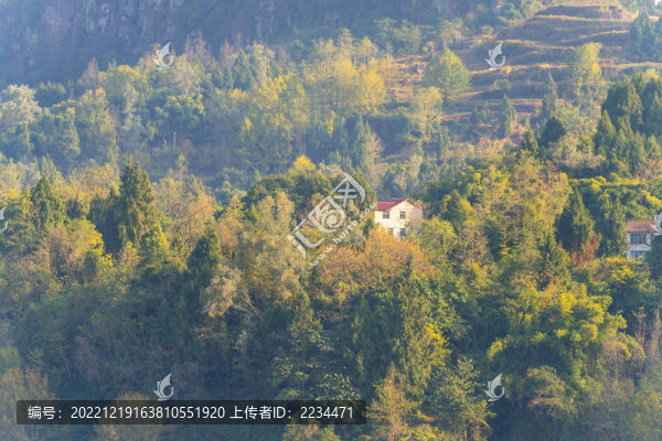 鄉(xiāng)村秋色