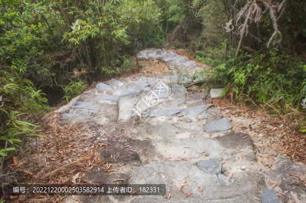 石頭小路