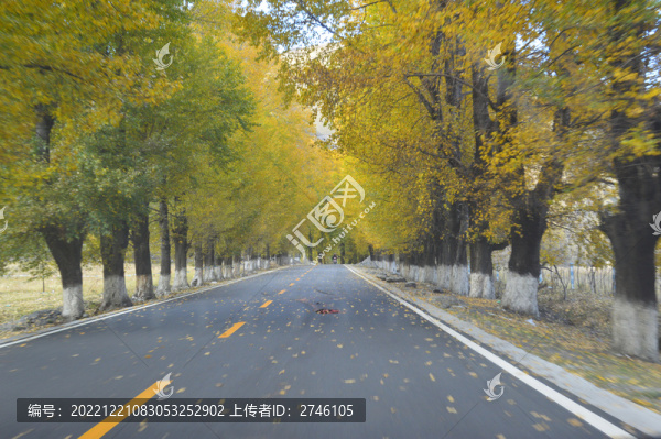 稻城亞丁的公路
