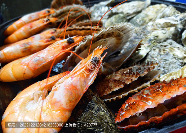大蝦扇貝