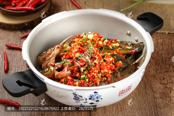 高壓黃鴨叫