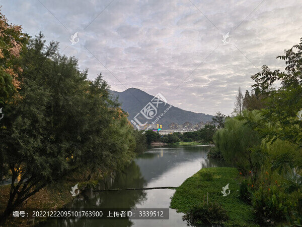溪邊美景