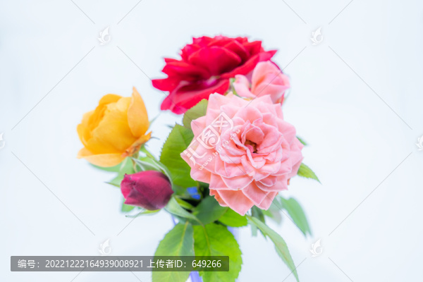 玫瑰花藝