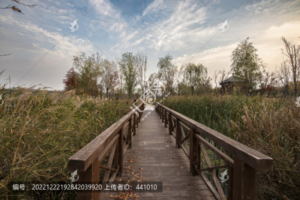 濕地公園