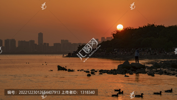 深圳灣公園候鳥棲息地