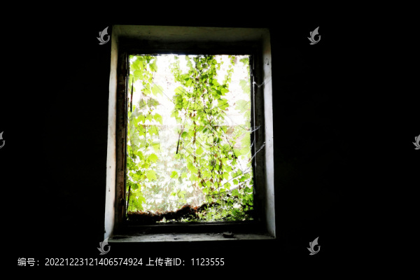 綠葉窗