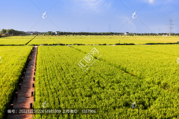 田園風(fēng)光