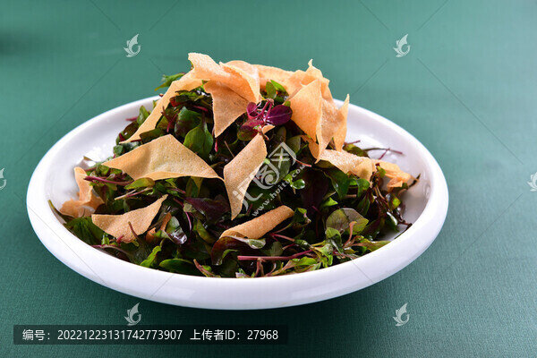 枸杞苗