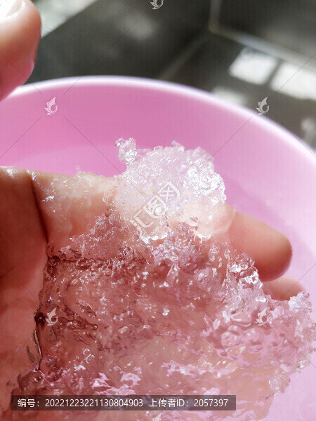 雪燕