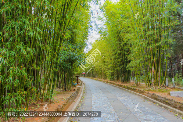 竹林步道