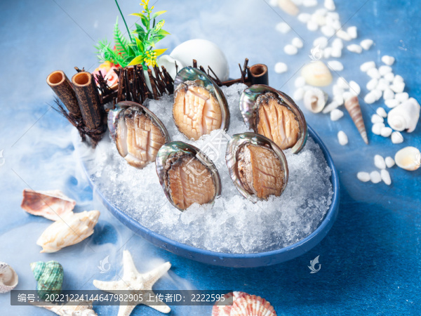 海鮮鮑魚