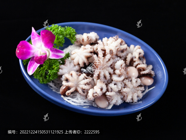 小海鮮火鍋八爪魚