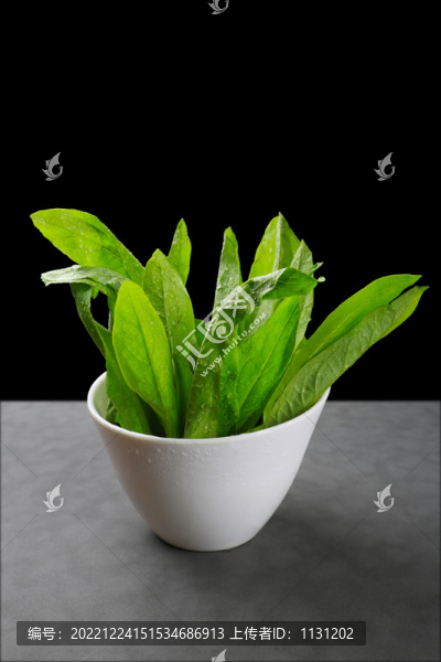 油麥菜