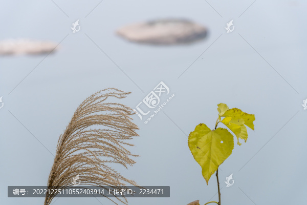 渠江小景