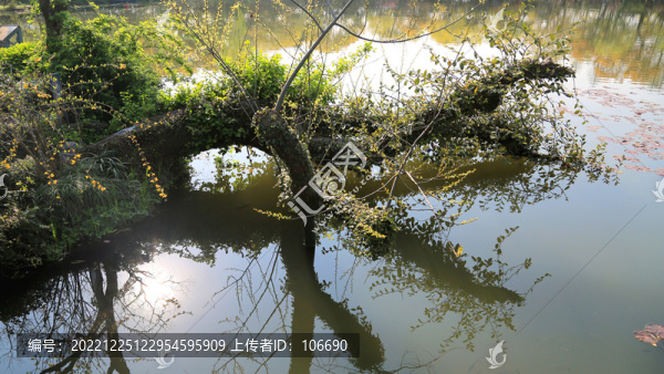 靜影沉璧