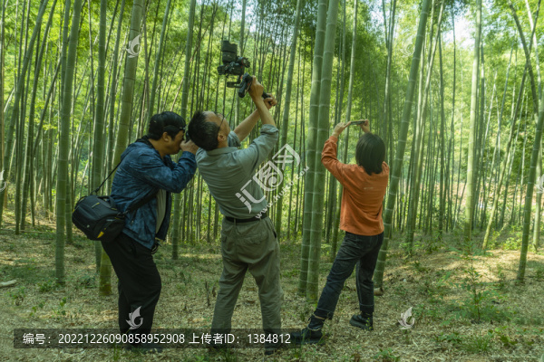 南竹林拍攝