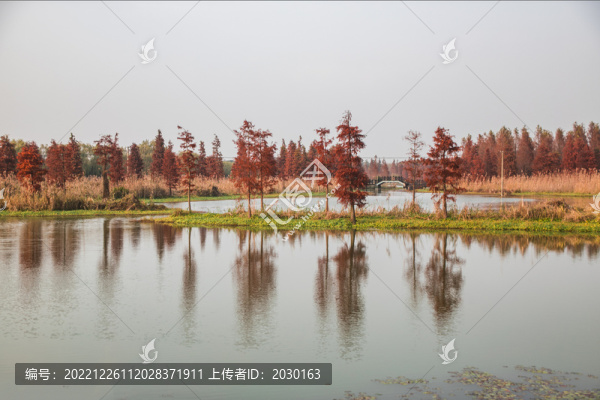 青西郊野公園