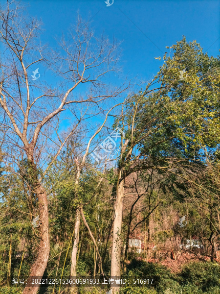 周吳岕場(chǎng)景