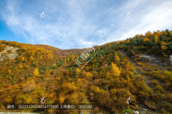 高原秋色