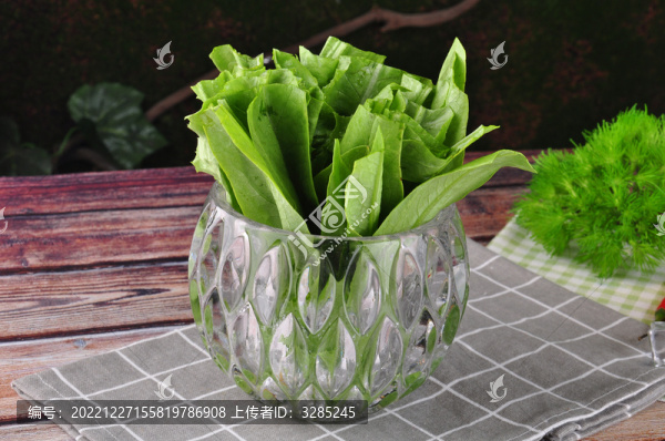 油麥菜