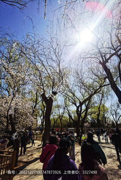 春光明媚的公園