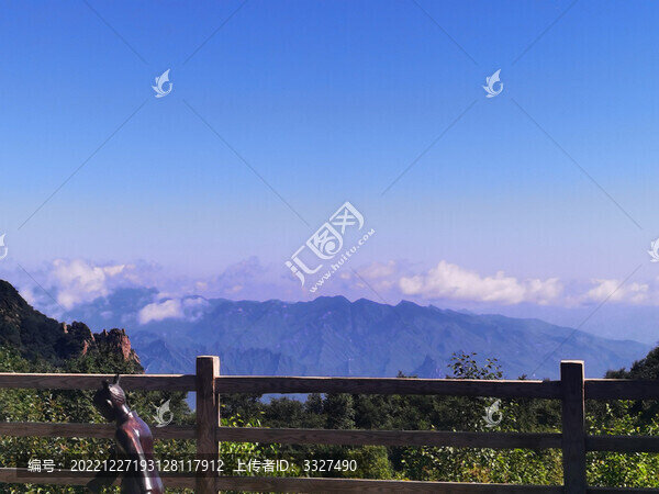夏日里涼爽的山頂森林
