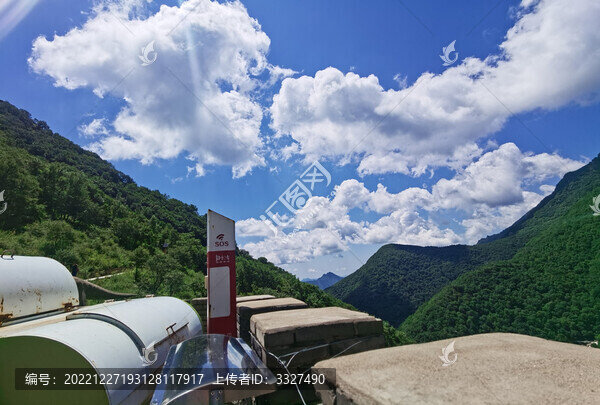 夏日里涼爽的山頂森林