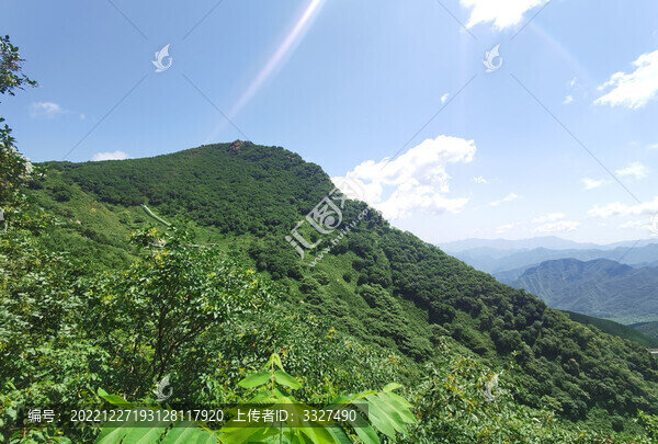 夏日里涼爽的山頂森林