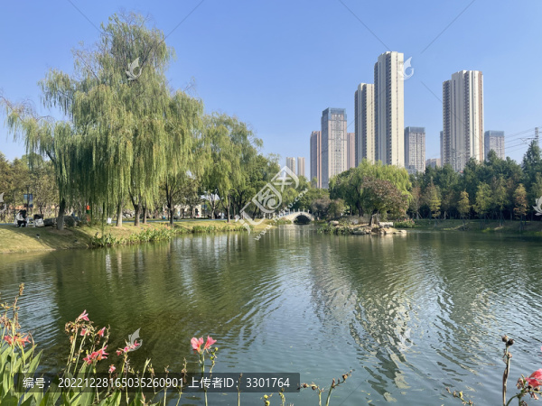 公園花草湖泊景觀