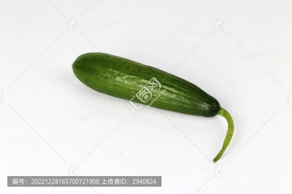 無刺黃瓜