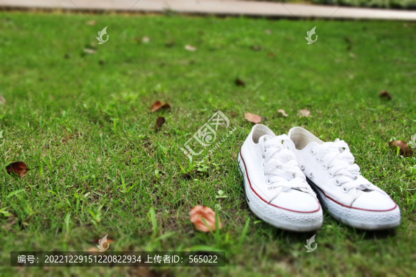 校園草坪回憶