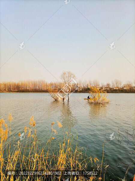 新沂沭河公園