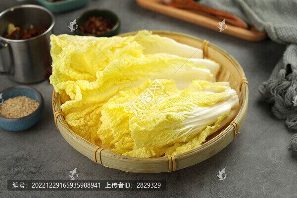 芽白