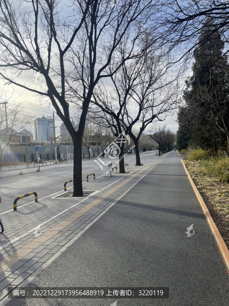 午后街道