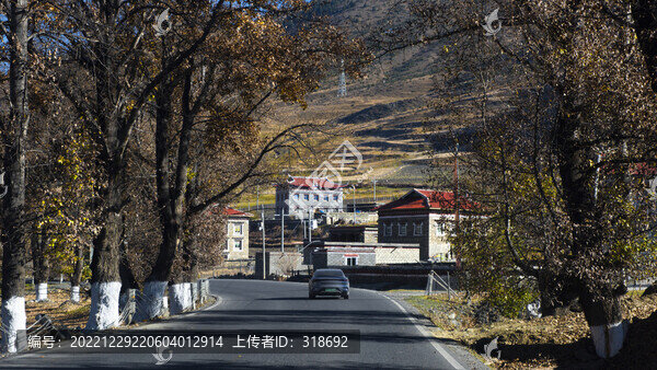 甘孜彩林雪山紅葉攝影天堂15