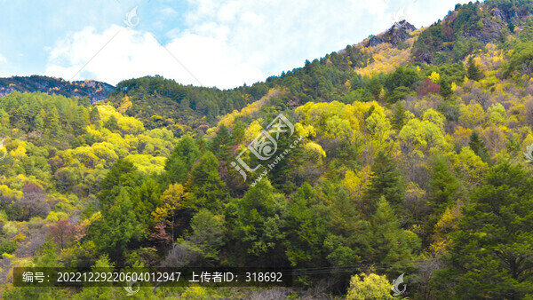 甘孜彩林雪山紅葉攝影天堂48